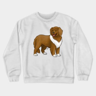 Dog - Landseer Dog - Brown and White Crewneck Sweatshirt